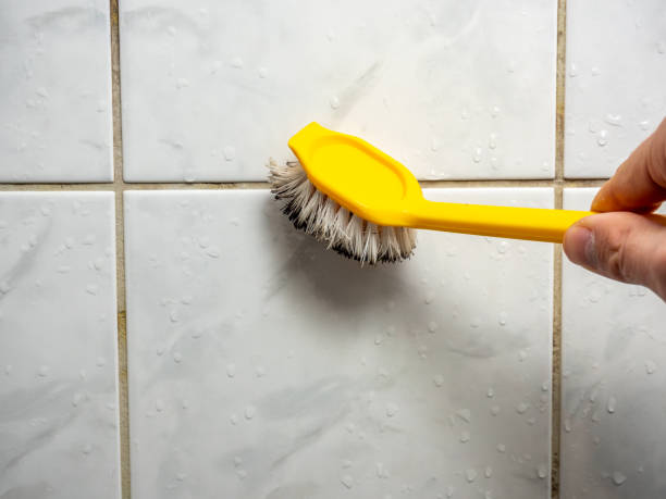 Best Mold Damage Repair  in Auburndale, FL