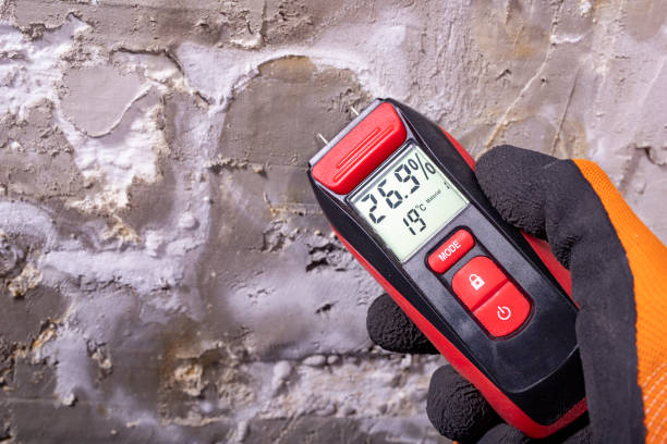 Best Commercial Mold Removal  in Auburndale, FL