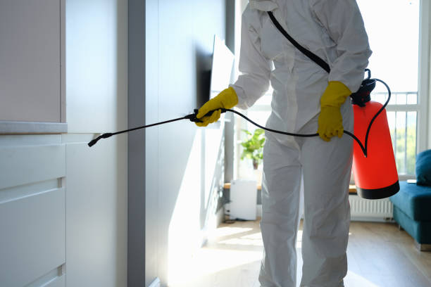 Best Best Mold Removal Companies  in Auburndale, FL