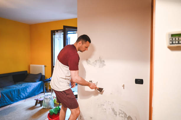 Best Commercial Mold Removal  in Auburndale, FL