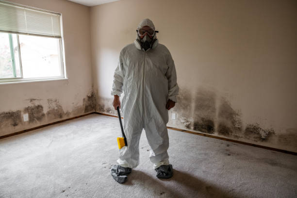 Best Emergency Mold Removal  in Auburndale, FL